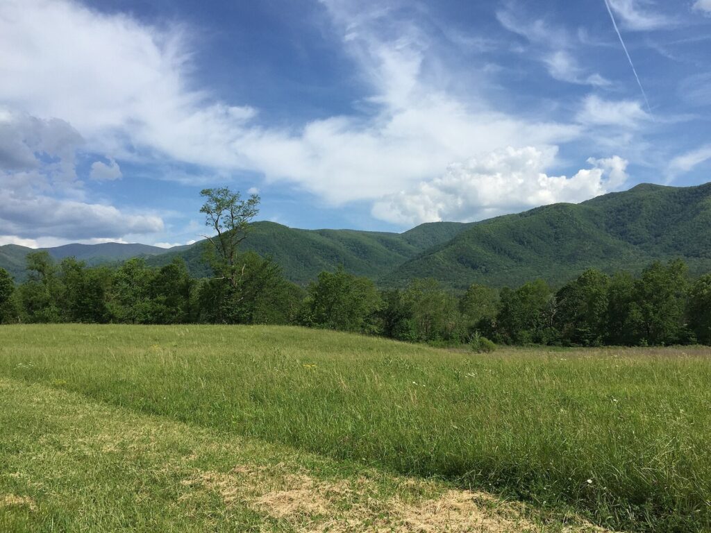 The Cades Cove Loop Road near Abrams Creek, where the Abrams Falls trailhead spur splits off