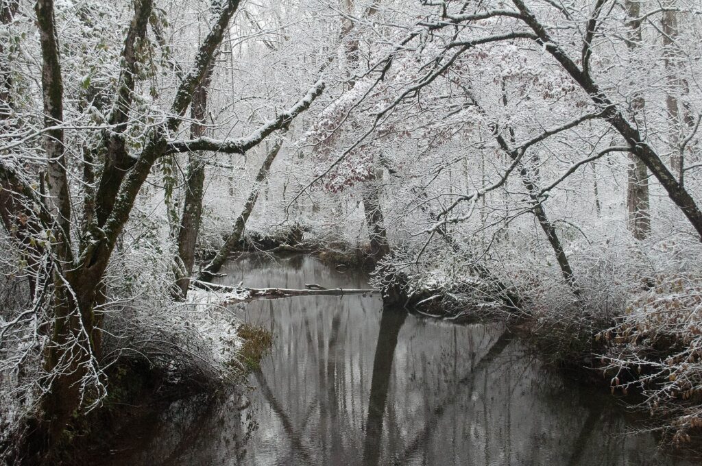 Light early-season snow along Abrams Creek in Cades Cove
