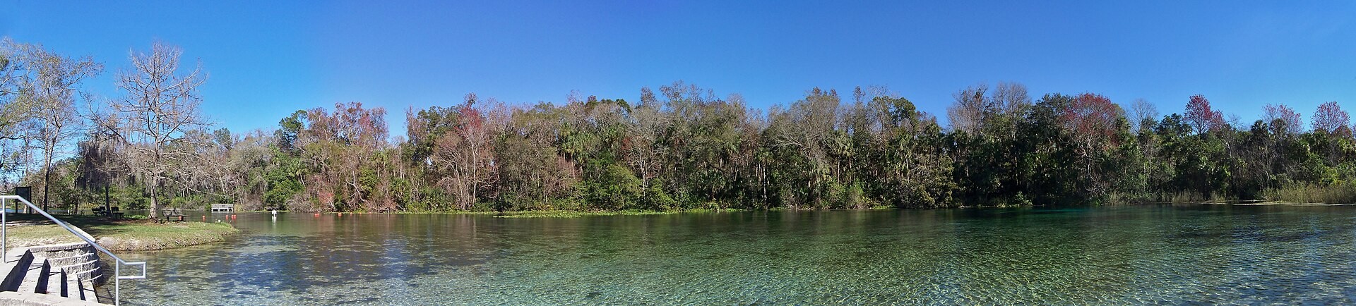 Wide panoramic view of the Alexander Springs basin in Ocala National Forest