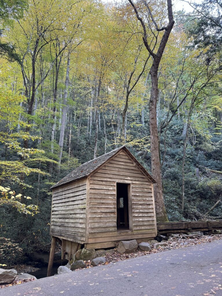 The Alfred Reagan tub mill, a small water-powered wooden mill along the Roaring Fork Motor Nature Trail