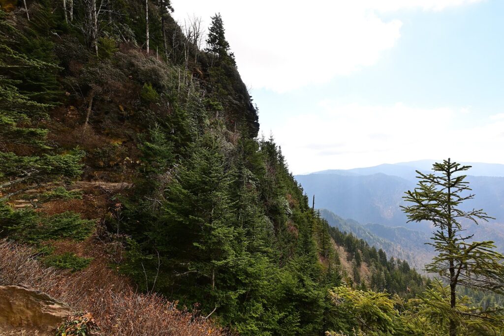 A rocky, tree-lined section of the upper Alum Cave Trail overlooking forested Smoky Mountains ridgelines