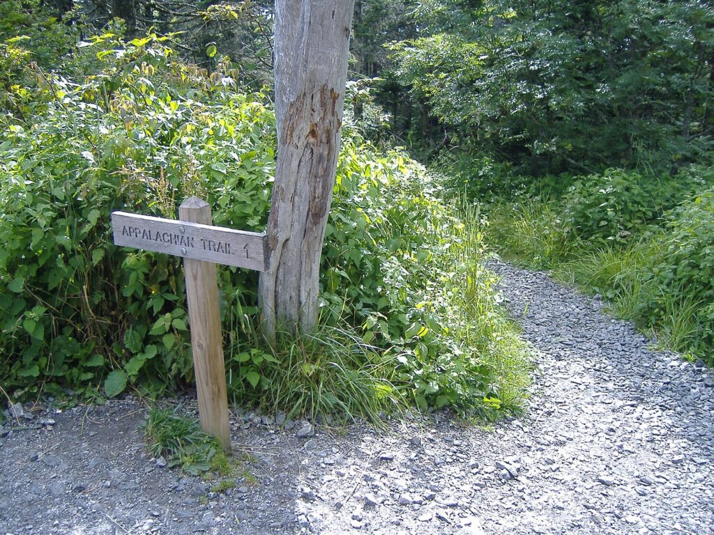 Appalachian Trail crossing through spruce-fir forest atop Kuwohi (Clingmans Dome)
