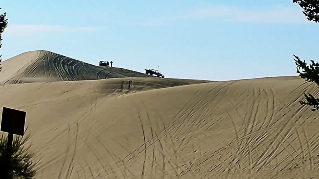 ATV tracks over a tall dune, Oregon Dunes