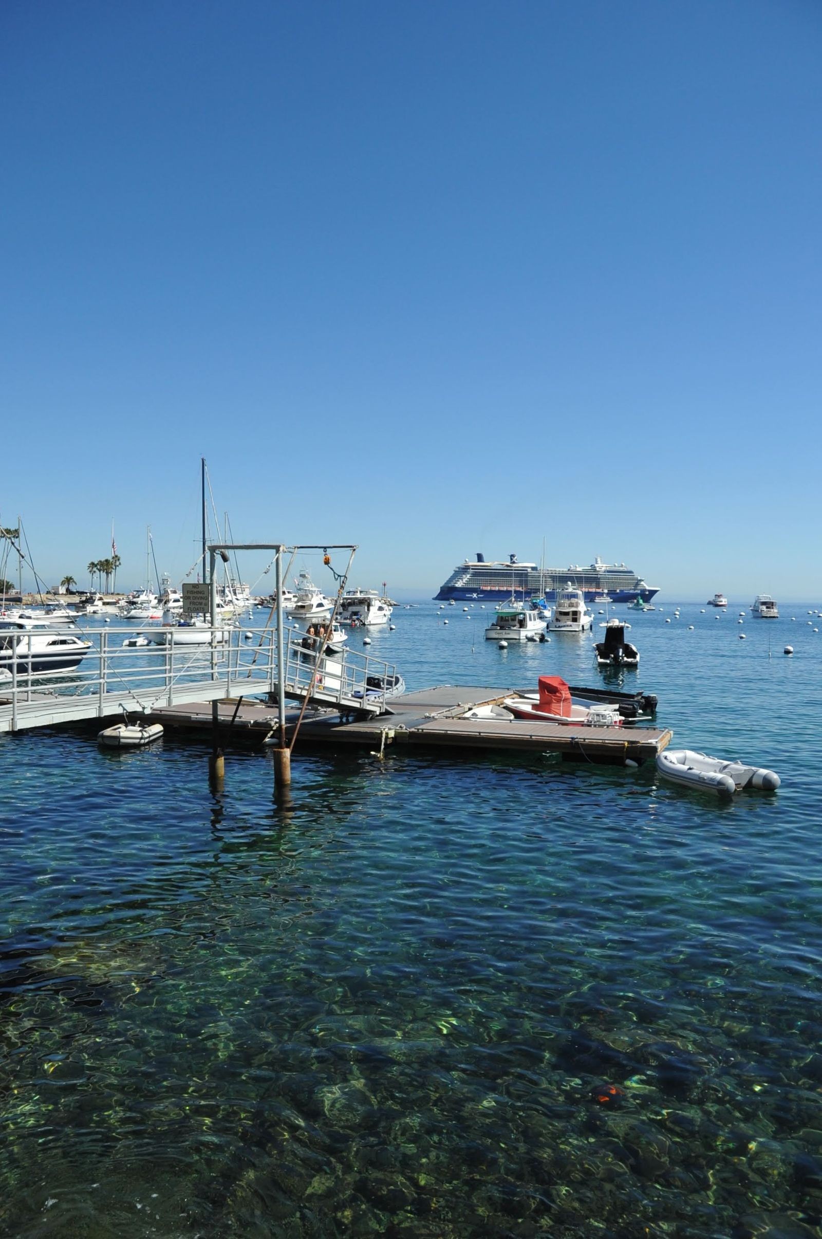 Boats moored in Avalon's marina with a cruise ship anchored offshore