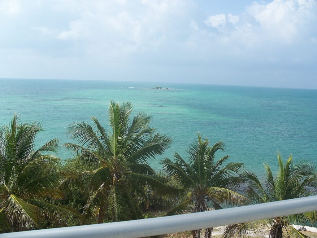 Beach and palms at Bahia Honda State Park