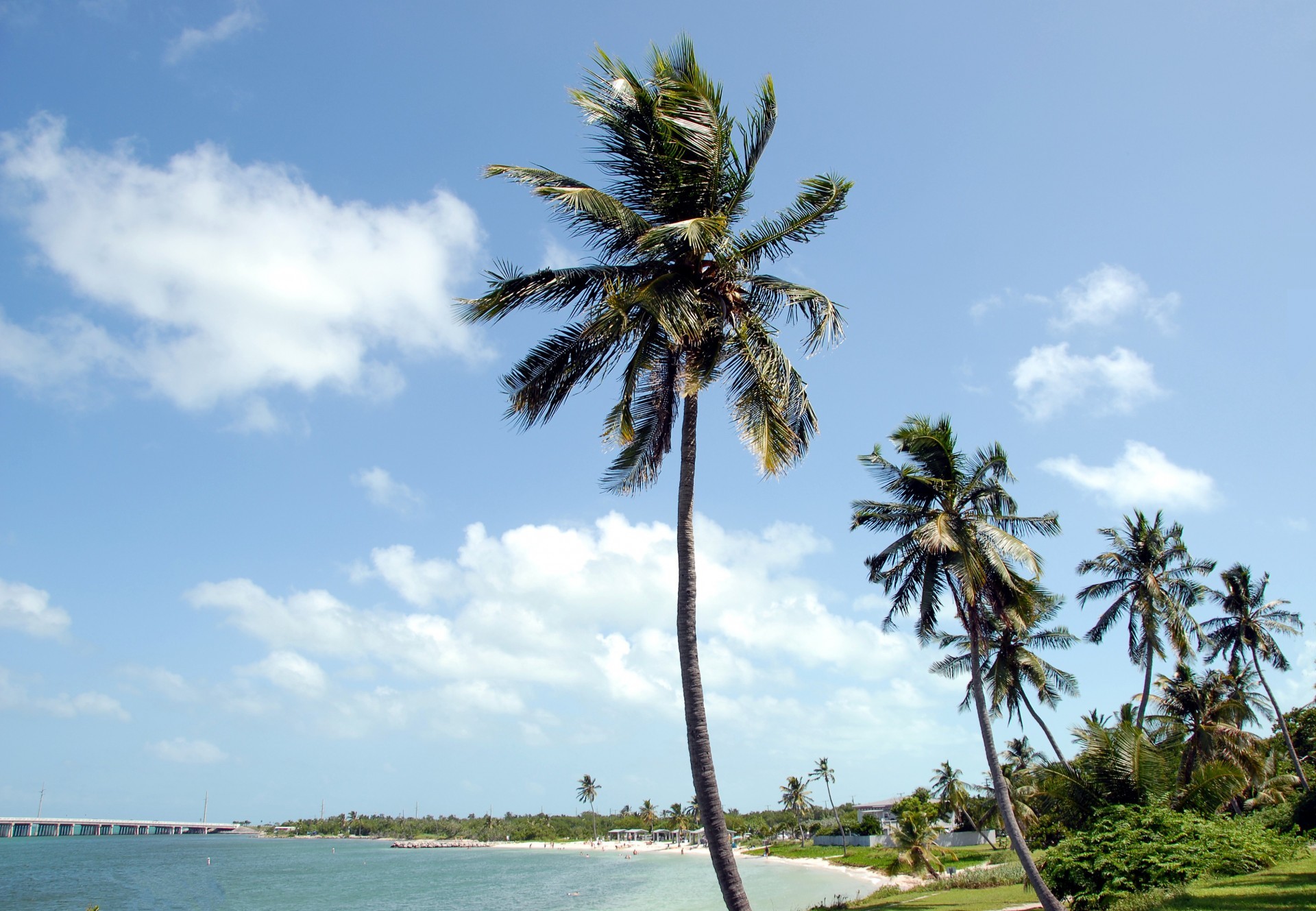 Sandy beach and shallow turquoise water at Bahia Honda State Park, with palms along the shore and a bridge on the horizon