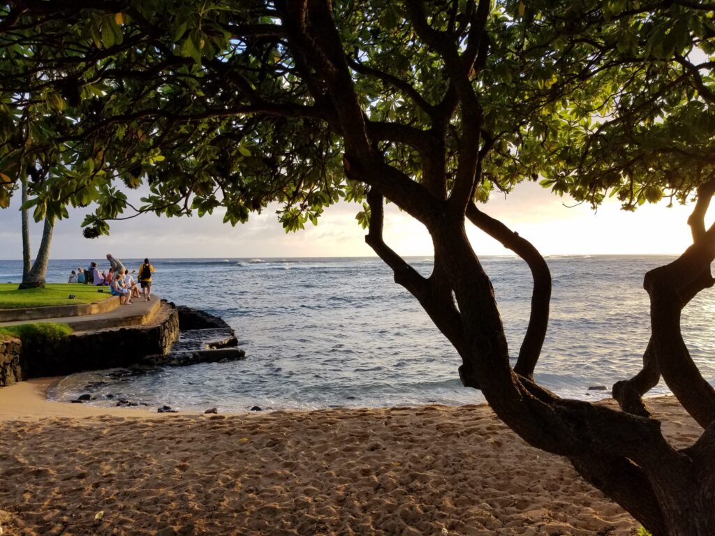 Beach shade under a tree at golden hour on Kauai