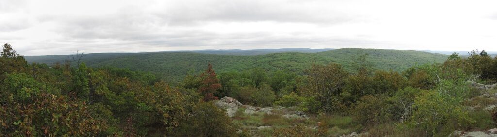 A forested ridgeline in the Bell Mountain Wilderness along Missouri's Ozark Trail