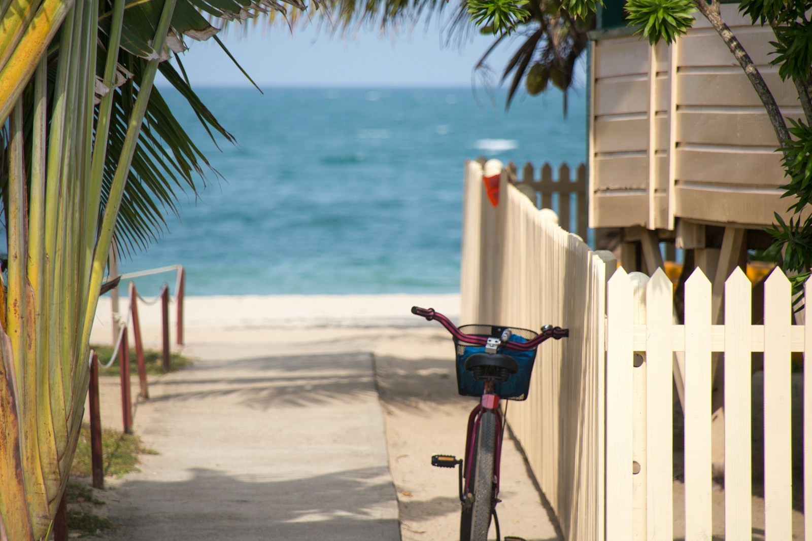 Bicycles parked beside a white fence in front of a beach.