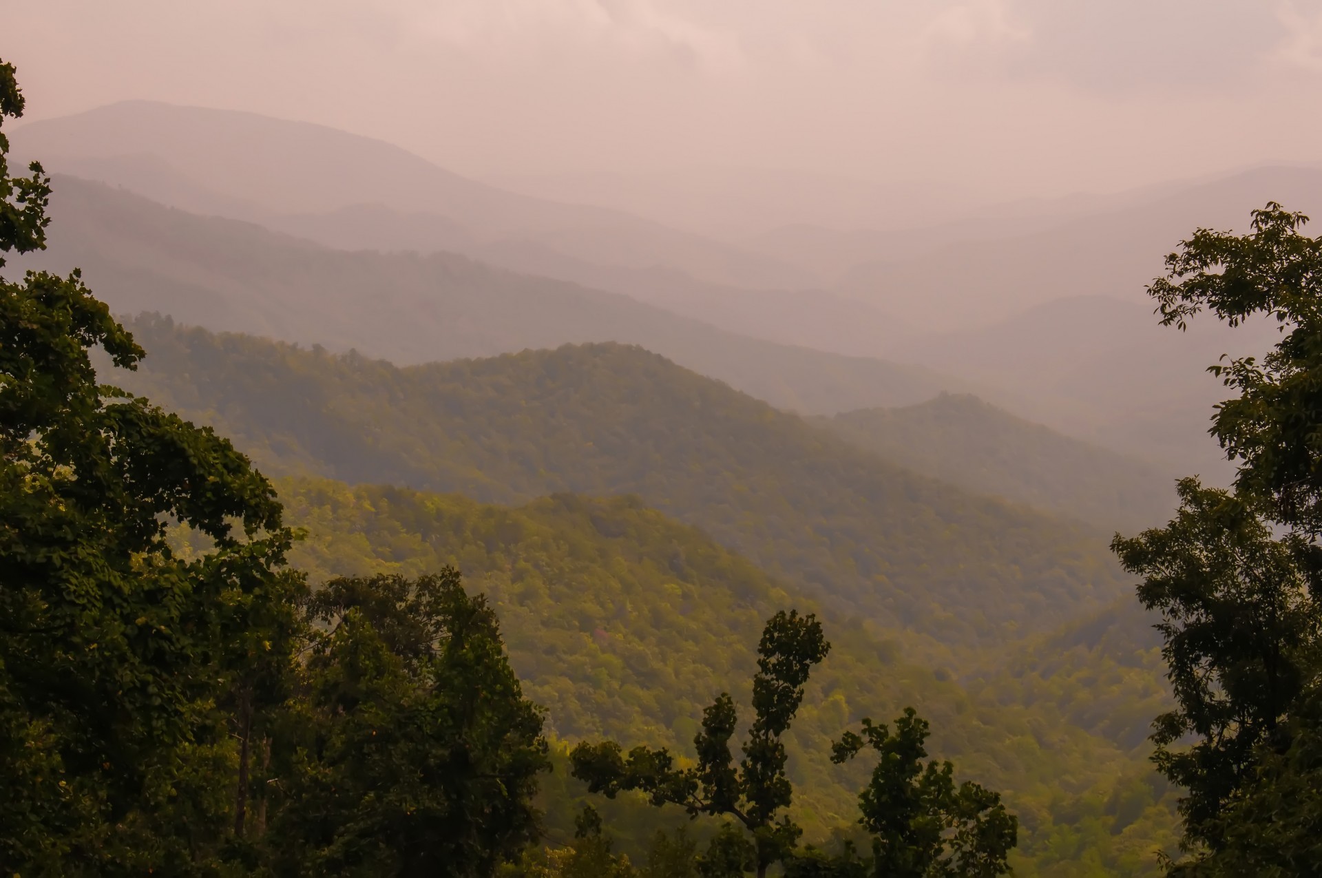 Blue Ridge Mountains layered in fog near Asheville, North Carolina
