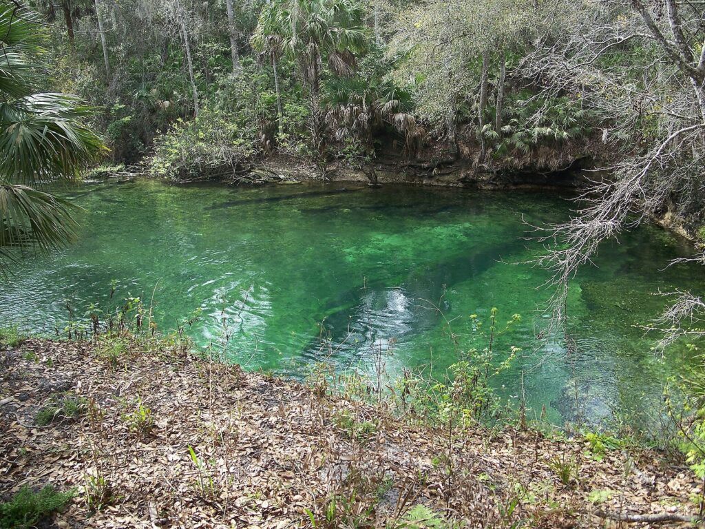 Best Florida Springs Near Orlando