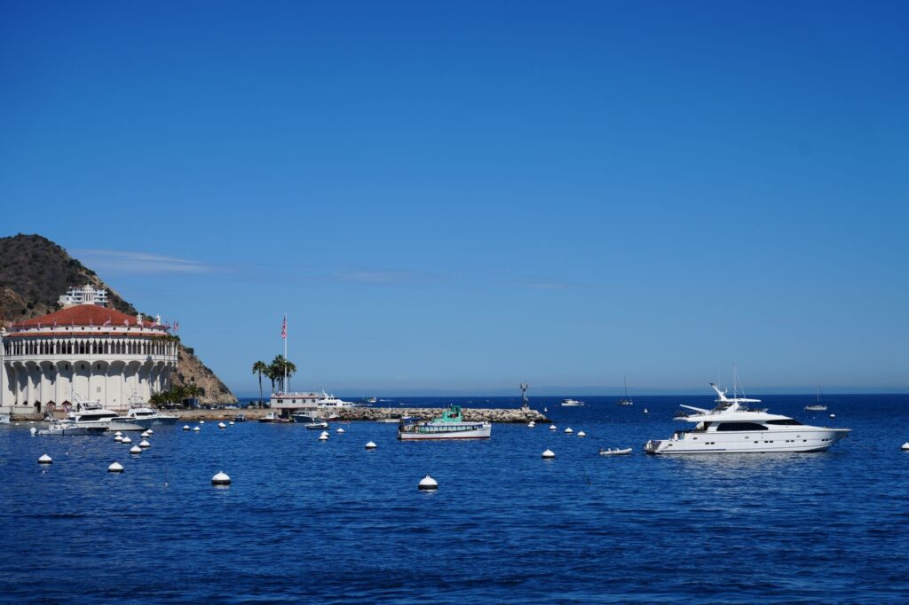 Boats moored in Avalon harbor on Catalina Island