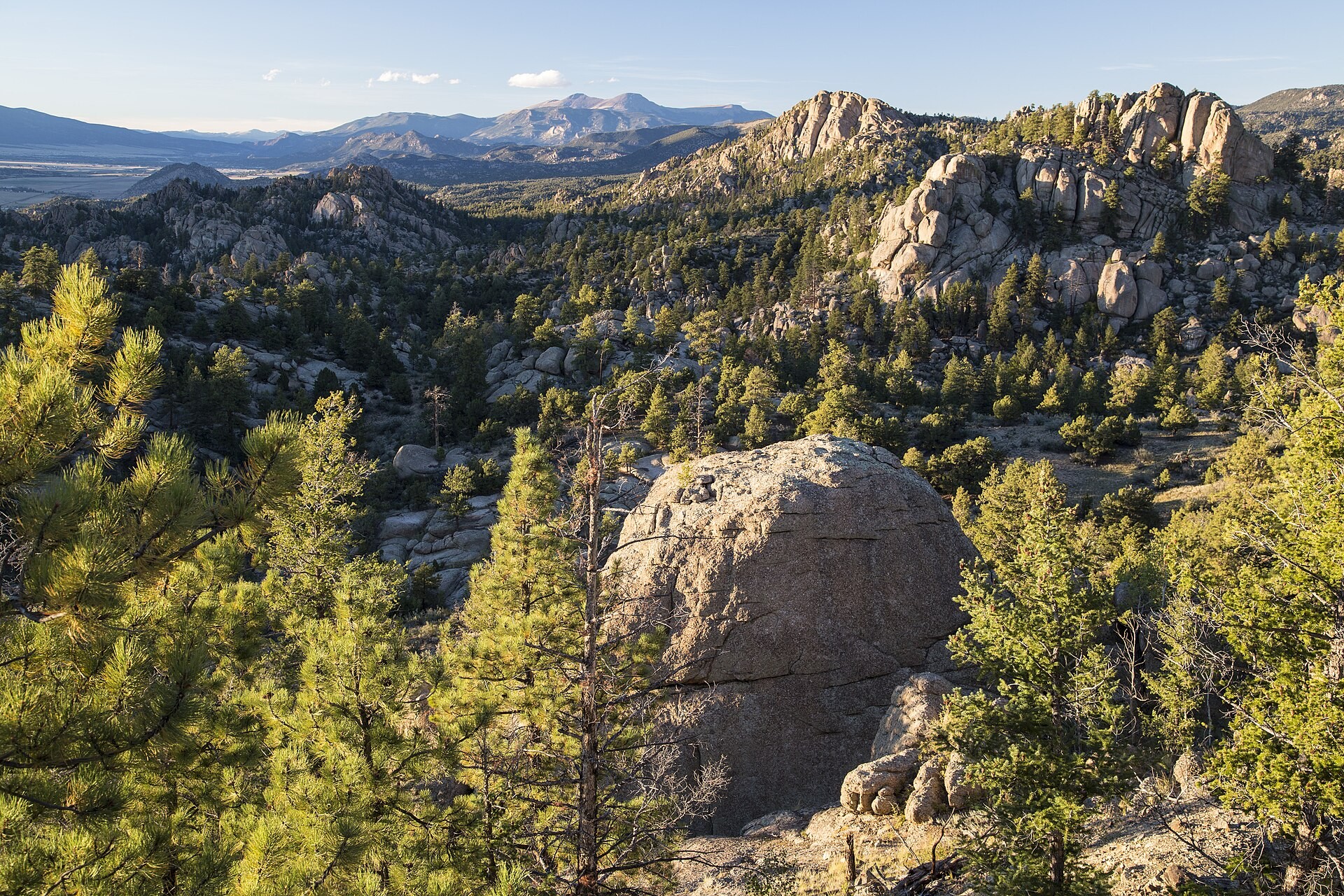 Granite outcrops and pines in Browns Canyon National Monument, Colorado