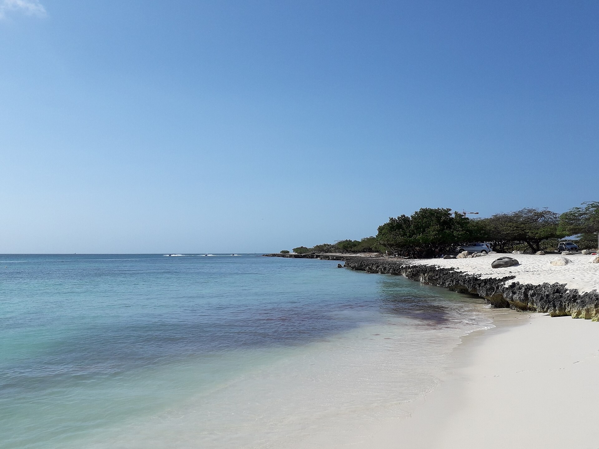 Palm trees leaning over the calm turquoise water and white sand of Eagle Beach in Aruba