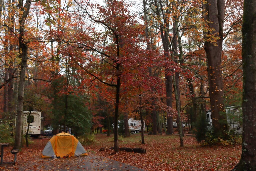 Best Campgrounds in the Great Smoky Mountains