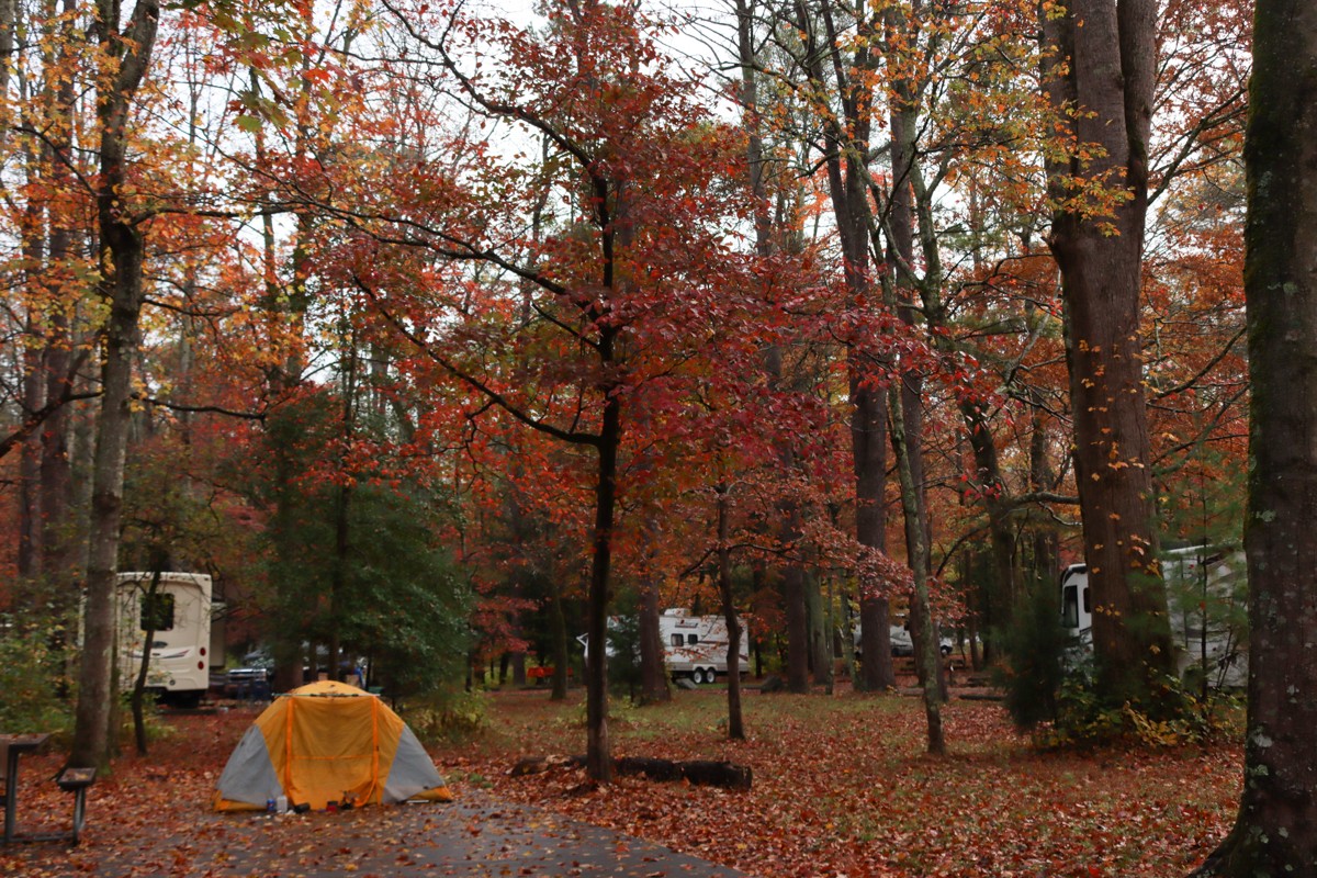 Campsite at Cades Cove Campground in Great Smoky Mountains National Park