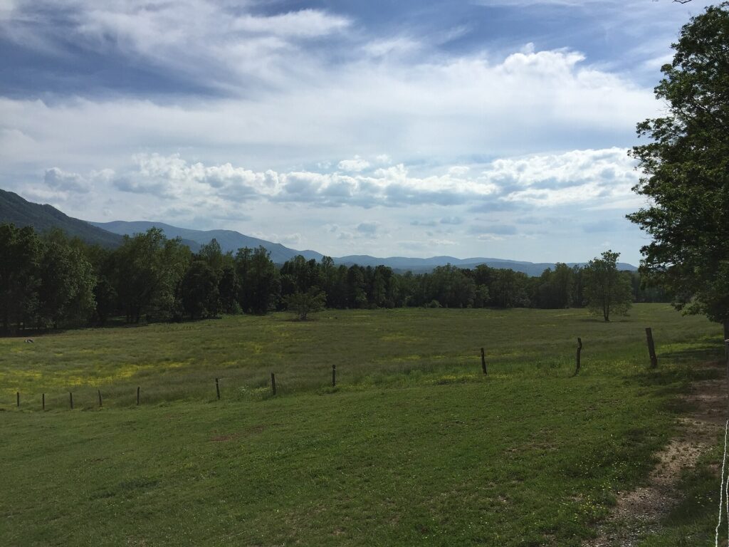 Forested ridgeline and open valley along the Cades Cove Loop Road