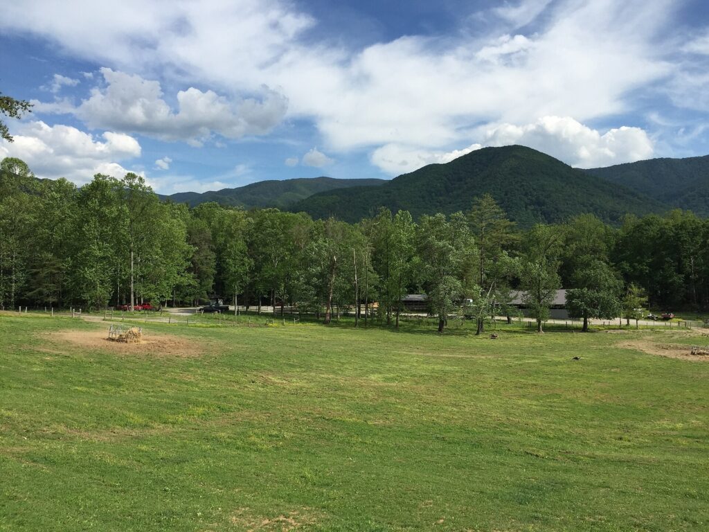 Open field and tree line along Cades Cove Loop Road in Great Smoky Mountains National Park