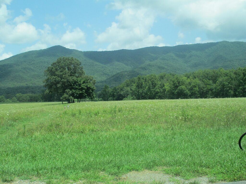 Open pasture and tree line along the Cades Cove valley floor with mountains behind