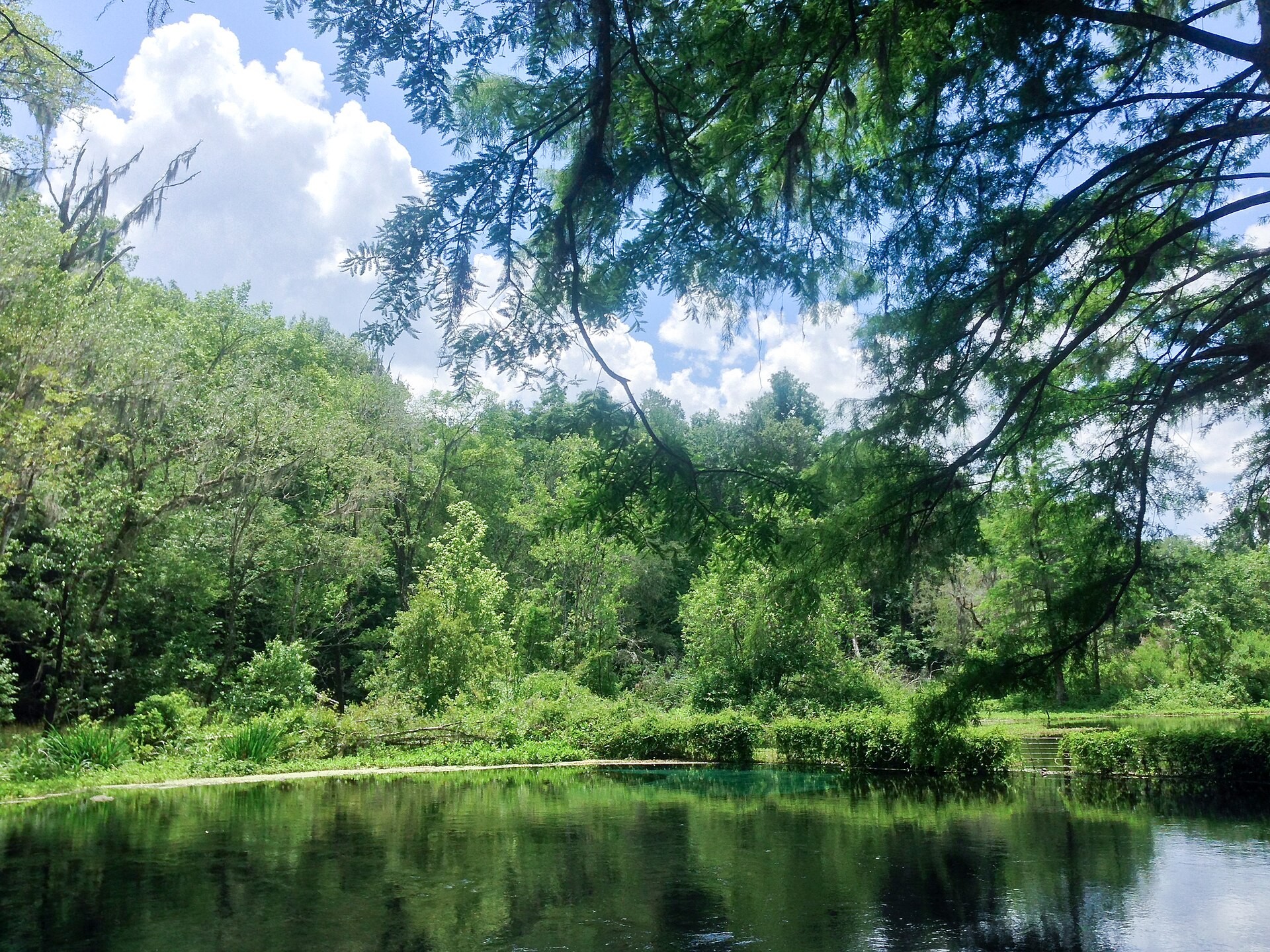 Clear spring water reflecting blue sky and trees at Ichetucknee Springs