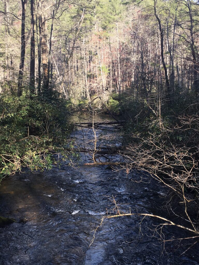 The East Fork of the Chattooga River along the South Carolina and Georgia line
