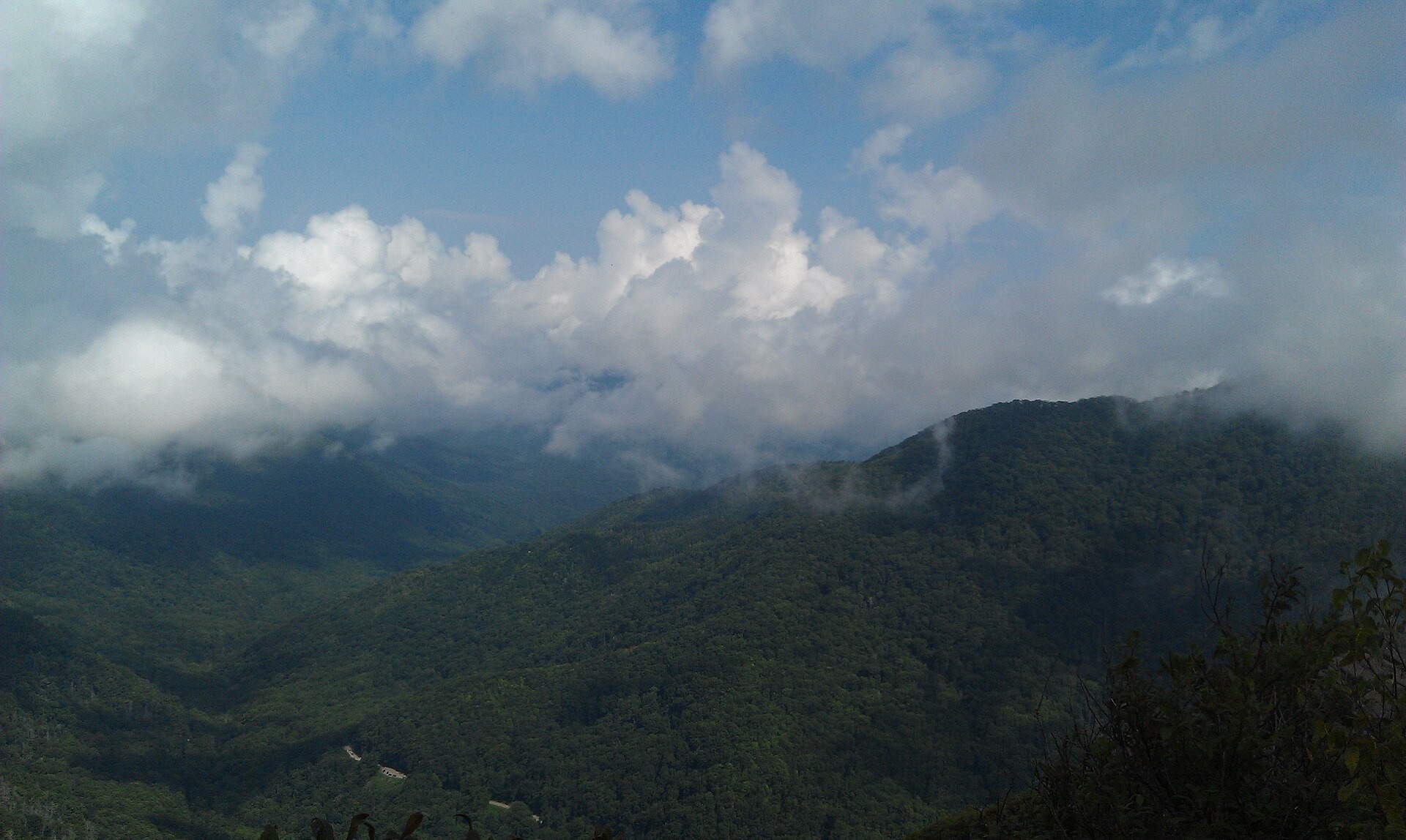 Misty forested ridgeline seen from the Chimney Tops area of the Smoky Mountains