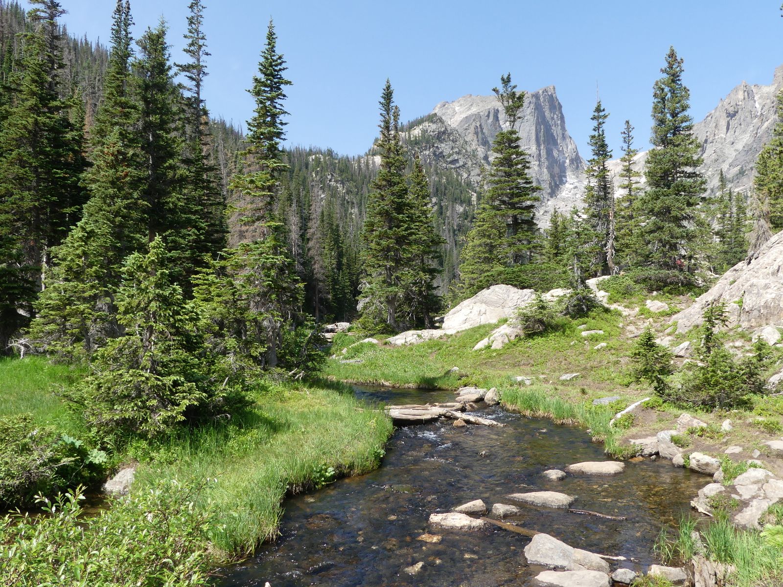 A clear mountain creek flows past pine trees and granite peaks in Rocky Mountain National Park