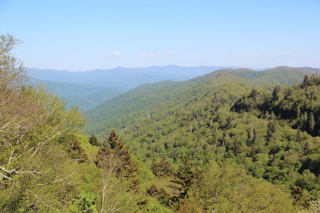 Overlook along Clingmans Dome Road in Great Smoky Mountains National Park