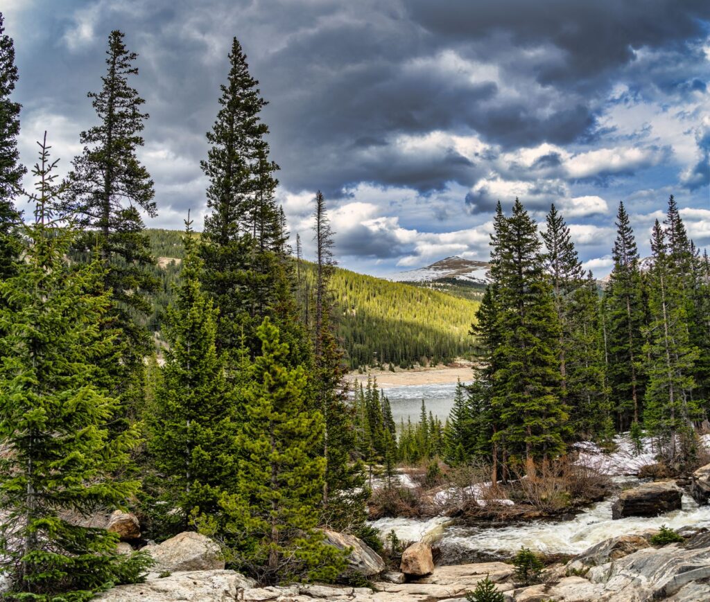 Colorado river valley with evergreens under a big sky