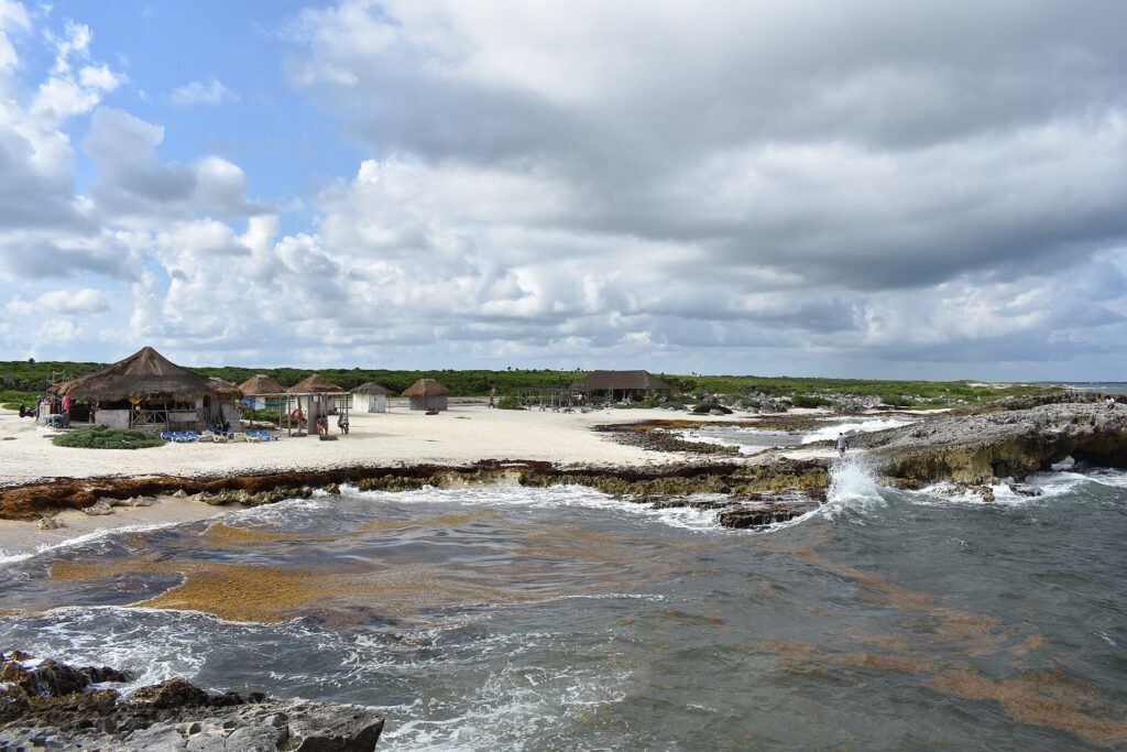 A rocky, rugged stretch of Cozumel's coastline with waves breaking over the rocks