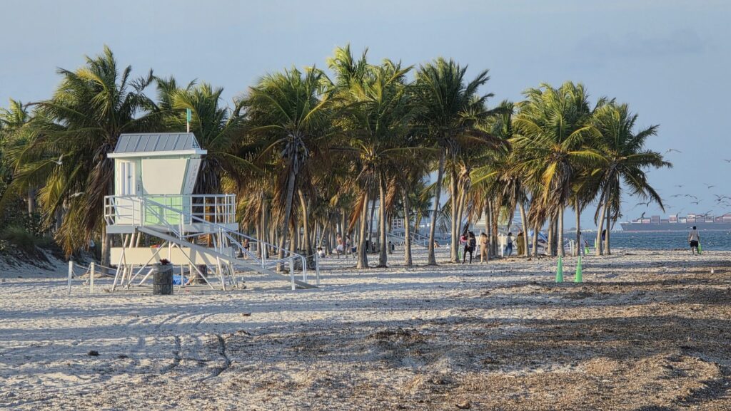 Lifeguard stand under coconut palms on the beach at Crandon Park, Key Biscayne