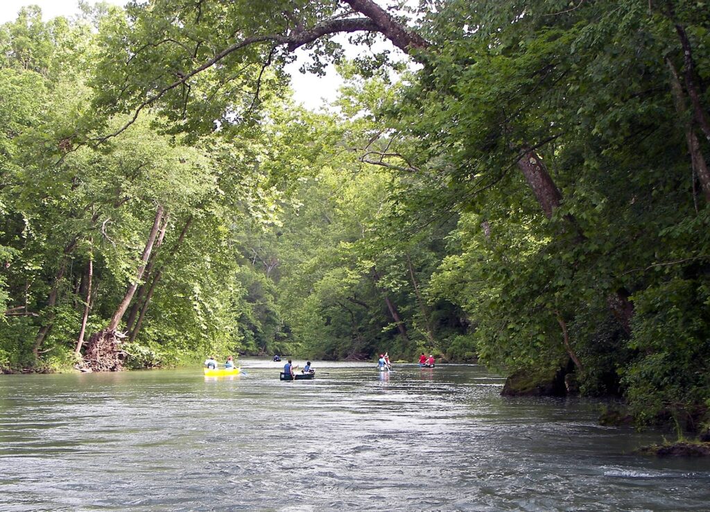 Canoes and kayaks float down the tree-lined upper Current River in the Missouri Ozarks below Welch Spring