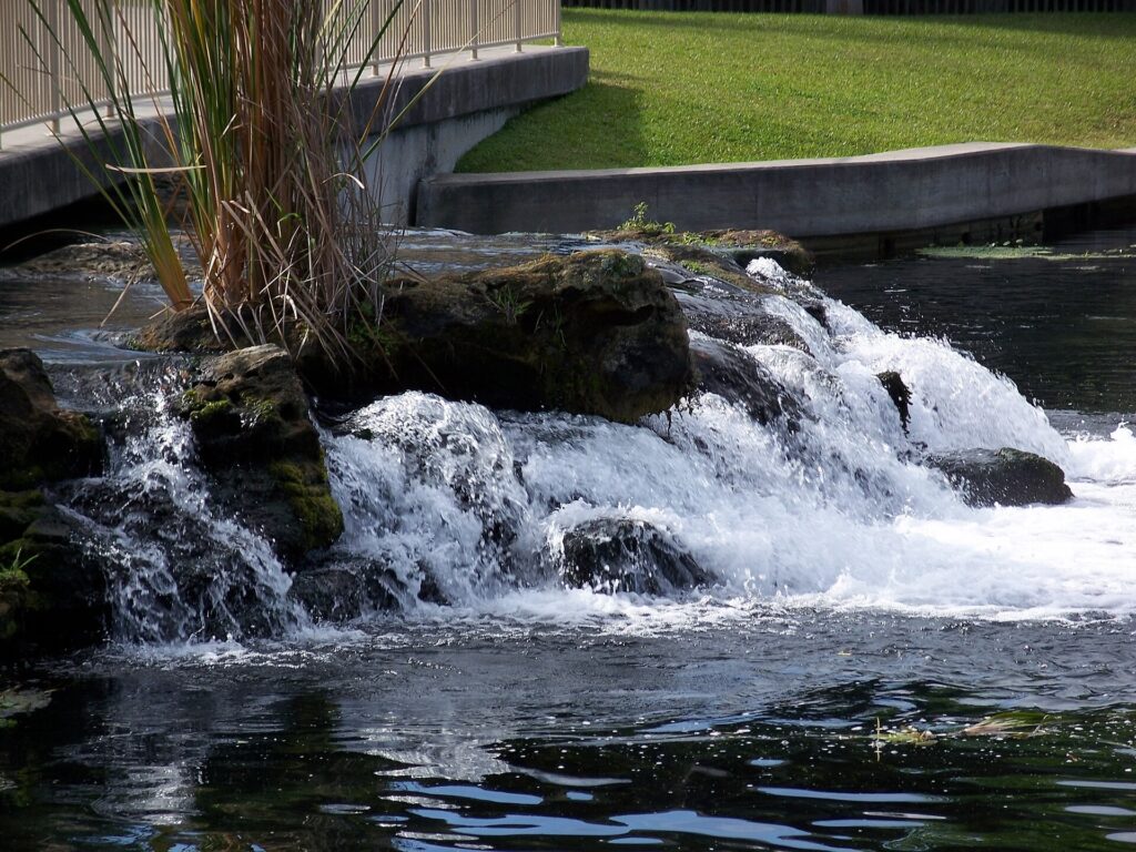 The spring boil at De Leon Springs, where clear water rises to the surface over rocks