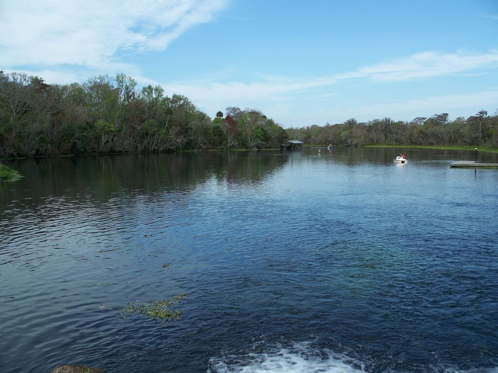 A small boat on the water near De Leon Springs, with trees lining the banks