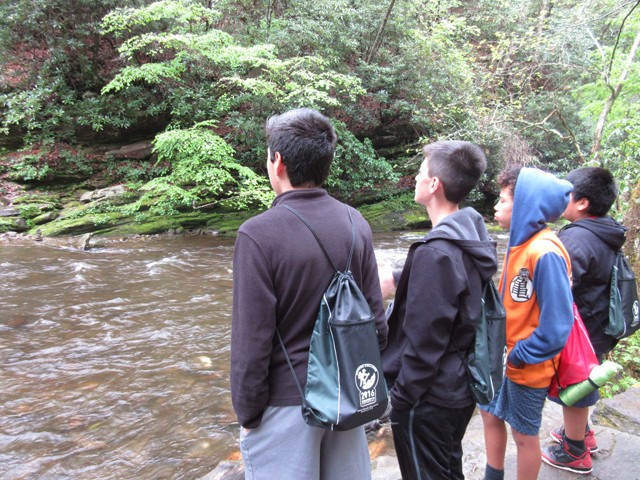 Visitors looking out over the flowing water of Deep Creek in Great Smoky Mountains National Park