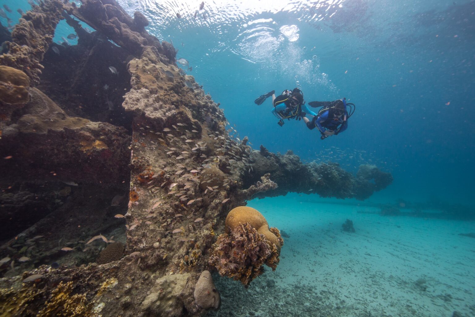 A scuba diver swimming past coral-encrusted wreckage and a school of small fish over a sandy bottom at Dry Tortugas National Park