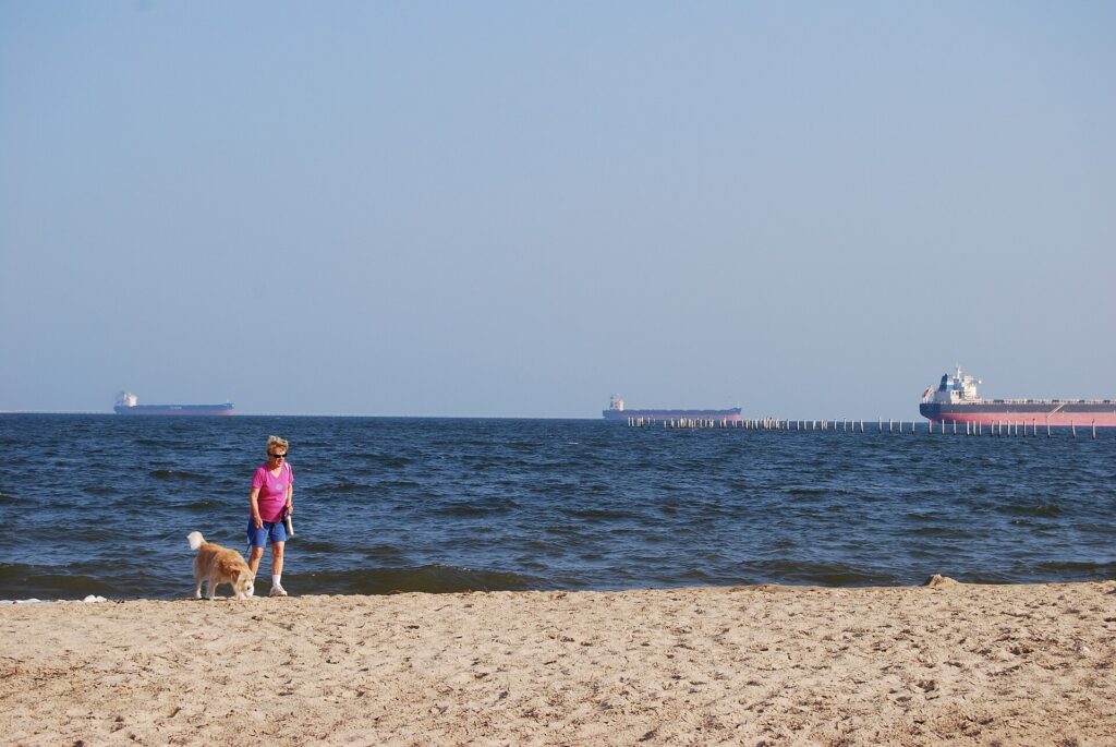 A person walking a dog along a state park beach