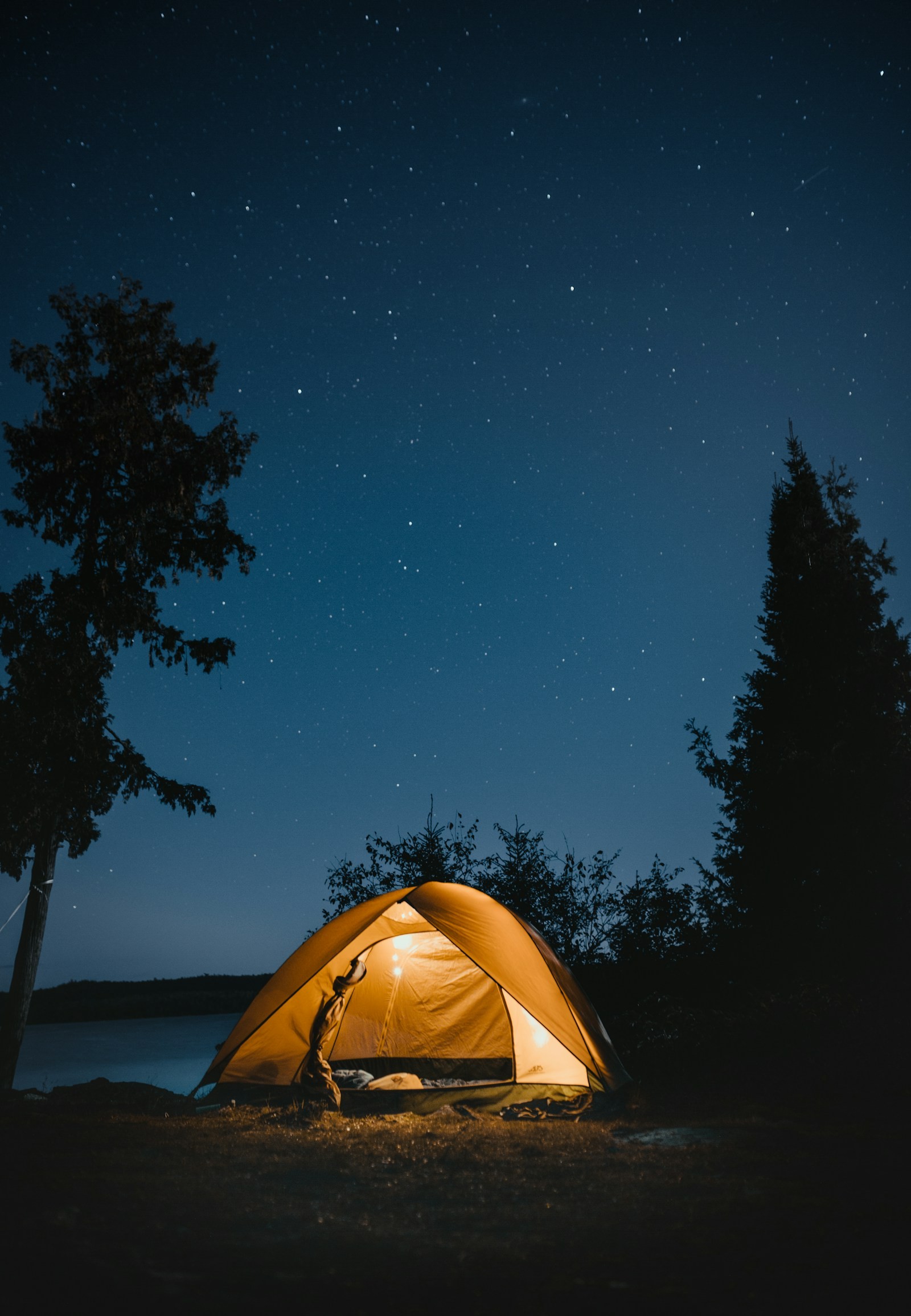 A dome tent glowing among trees at night.