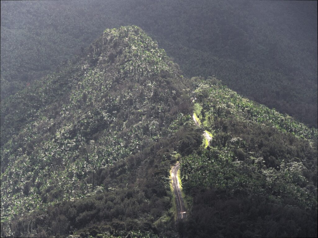 View over the forested peaks of El Yunque from Mount Britton tower