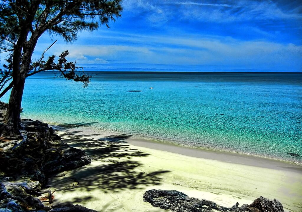 Turquoise water and ironshore rock along a quiet beach at Current, Eleuthera