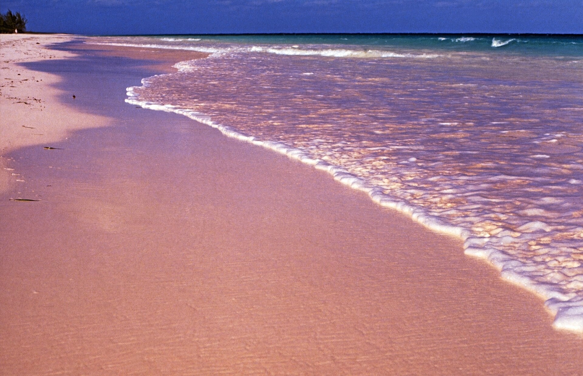 Close-up of a wave washing over pink-tinted sand on a beach in Eleuthera