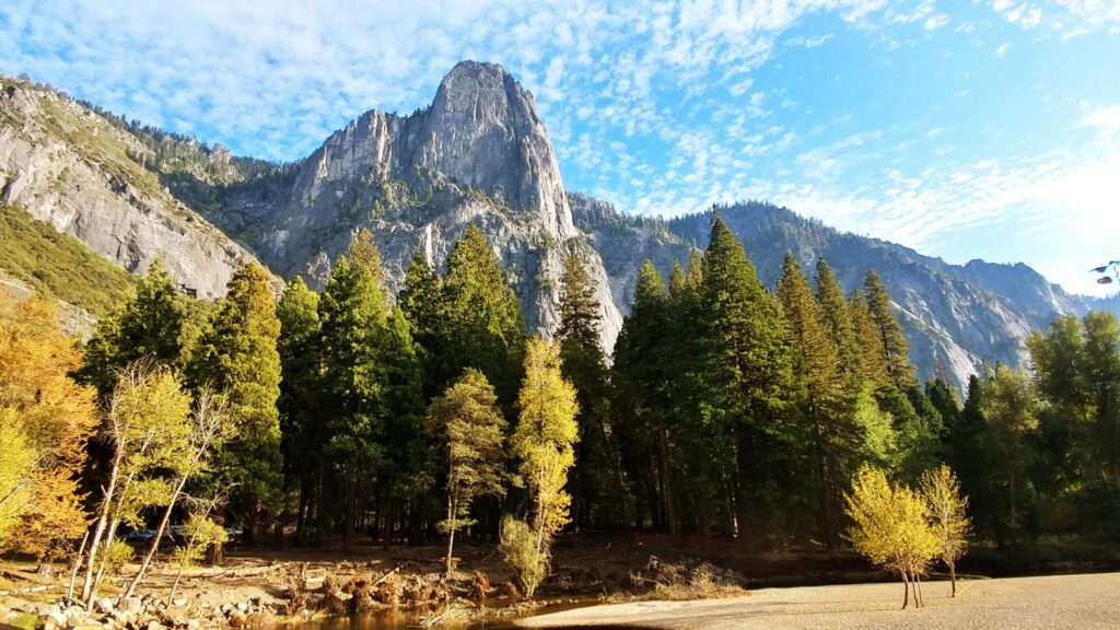 Fall color along the Merced River, Yosemite