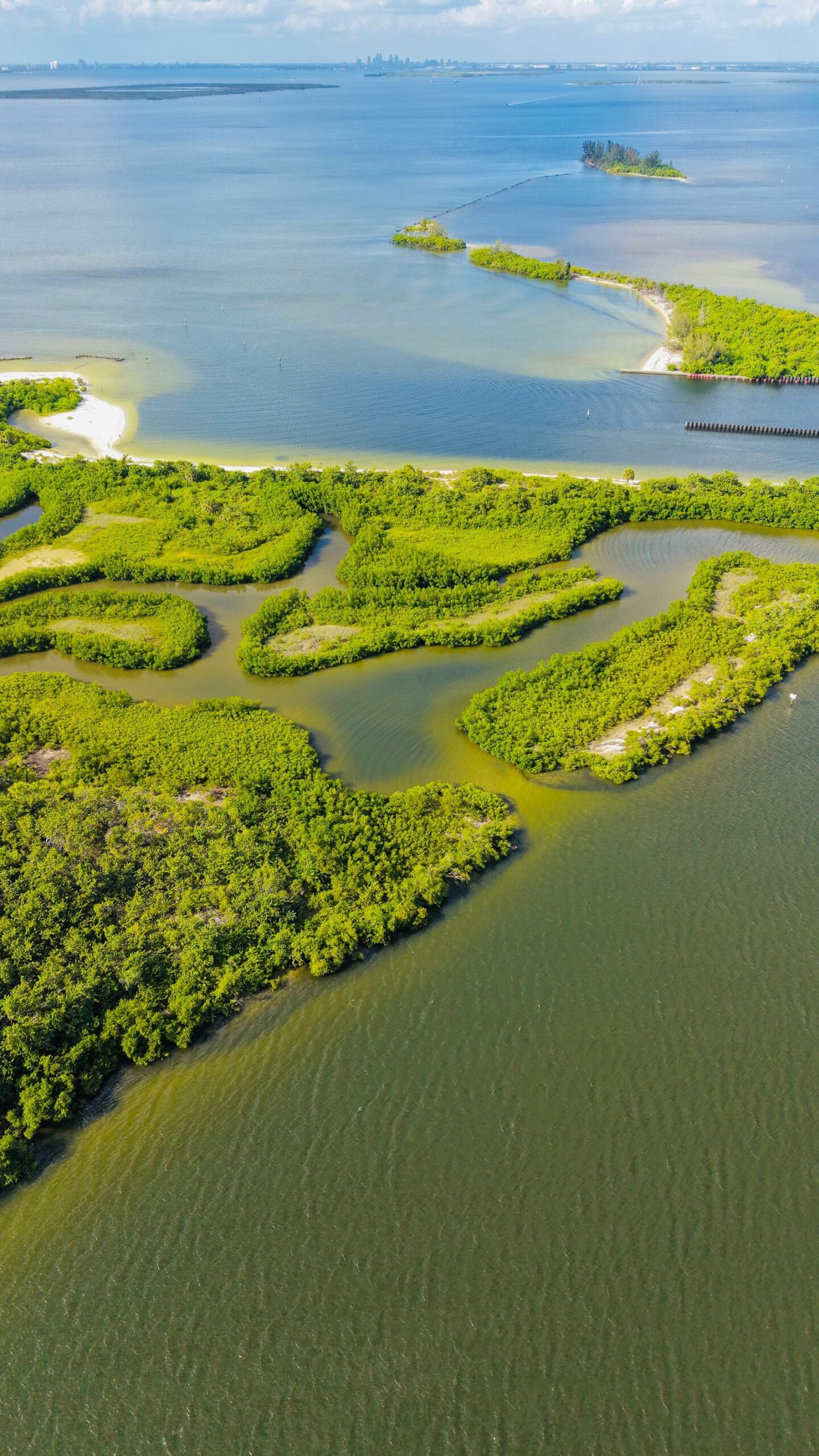 Aerial view of mangrove islands along a Florida coastline