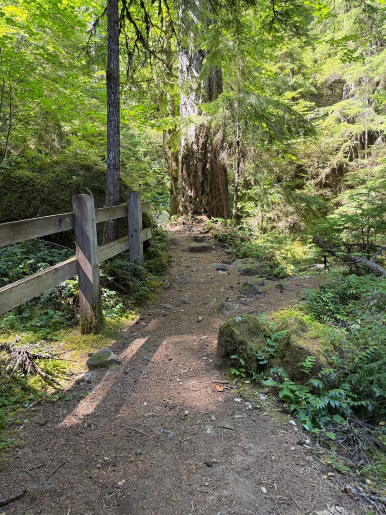 Forest trail with a wooden rail in the Umpqua National Forest