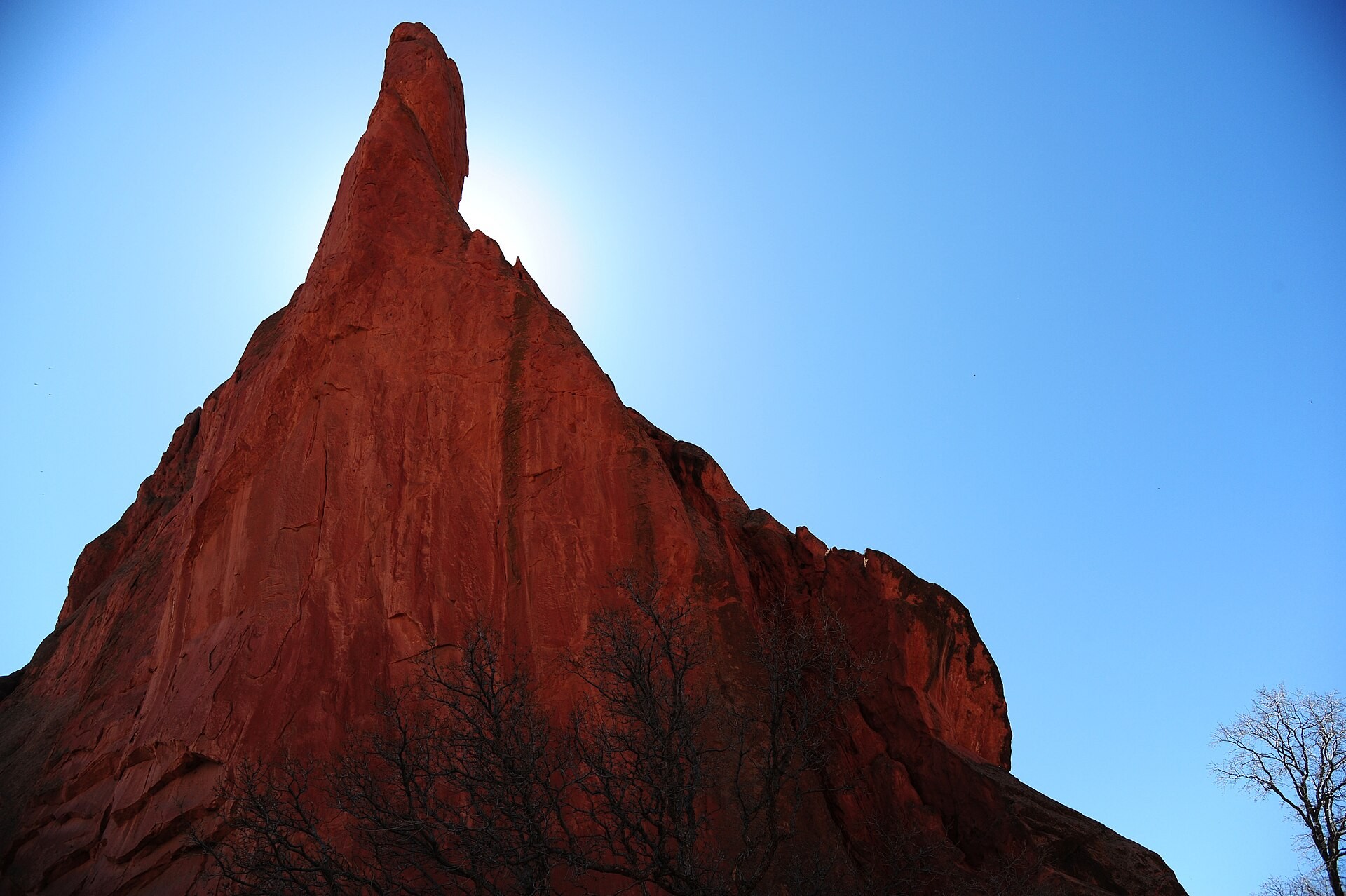 A tall orange sandstone spire rising above pine trees at Garden of the Gods in Colorado Springs