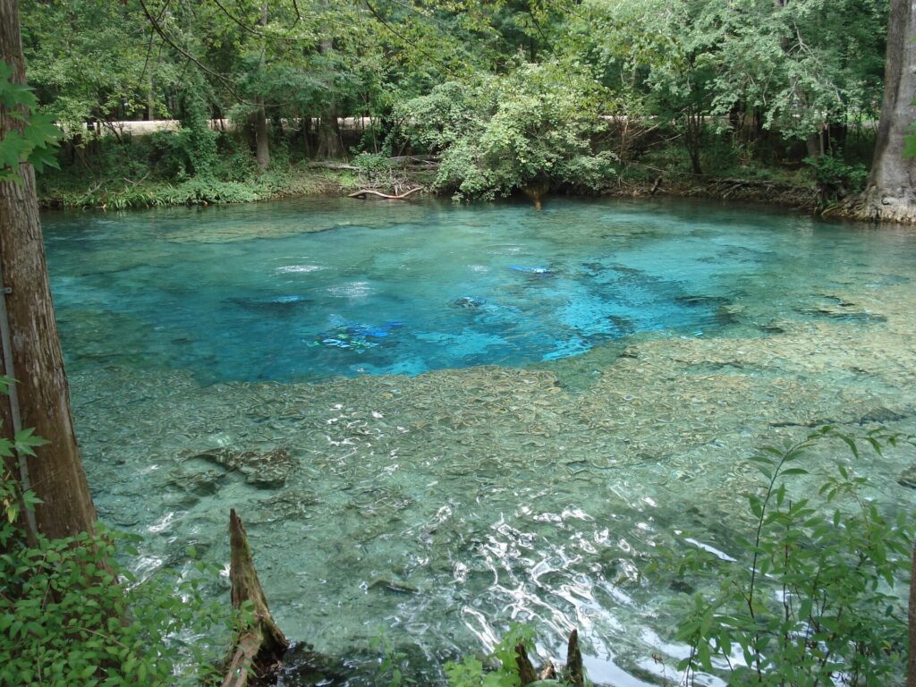 Ginnie Springs Guide