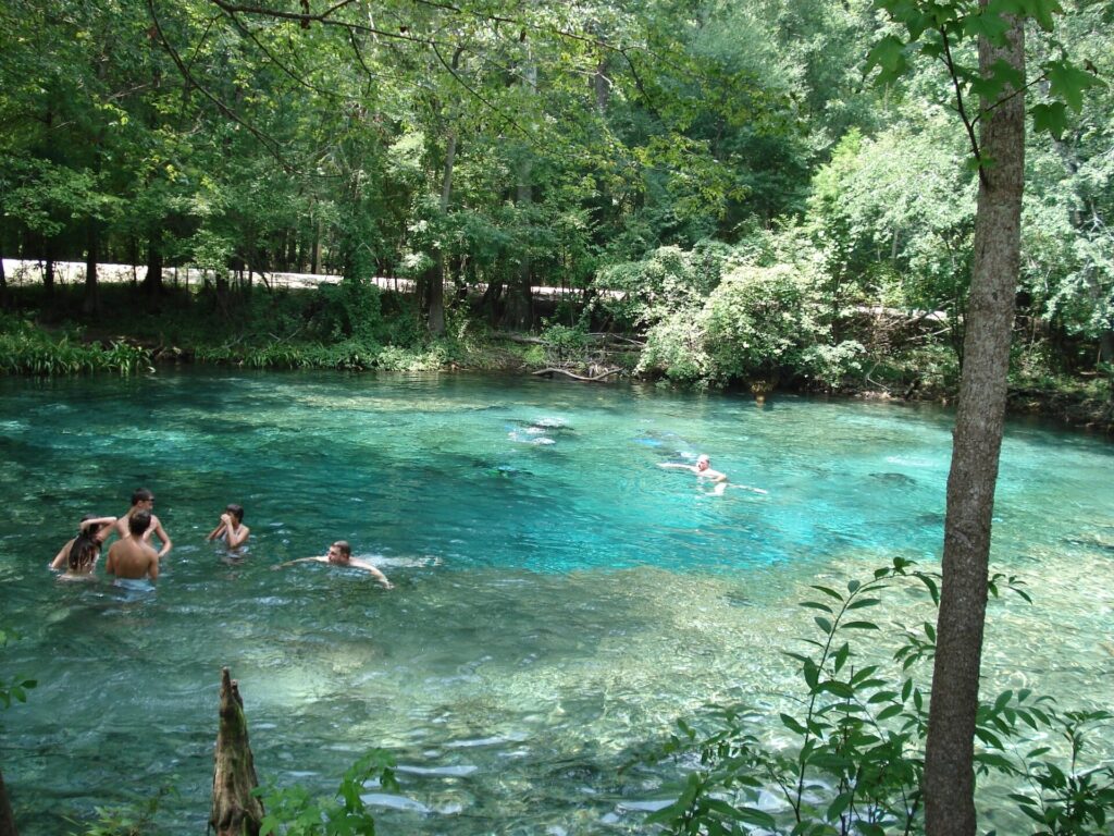 Swimmers in the clear blue water at Ginnie Springs surrounded by cypress trees