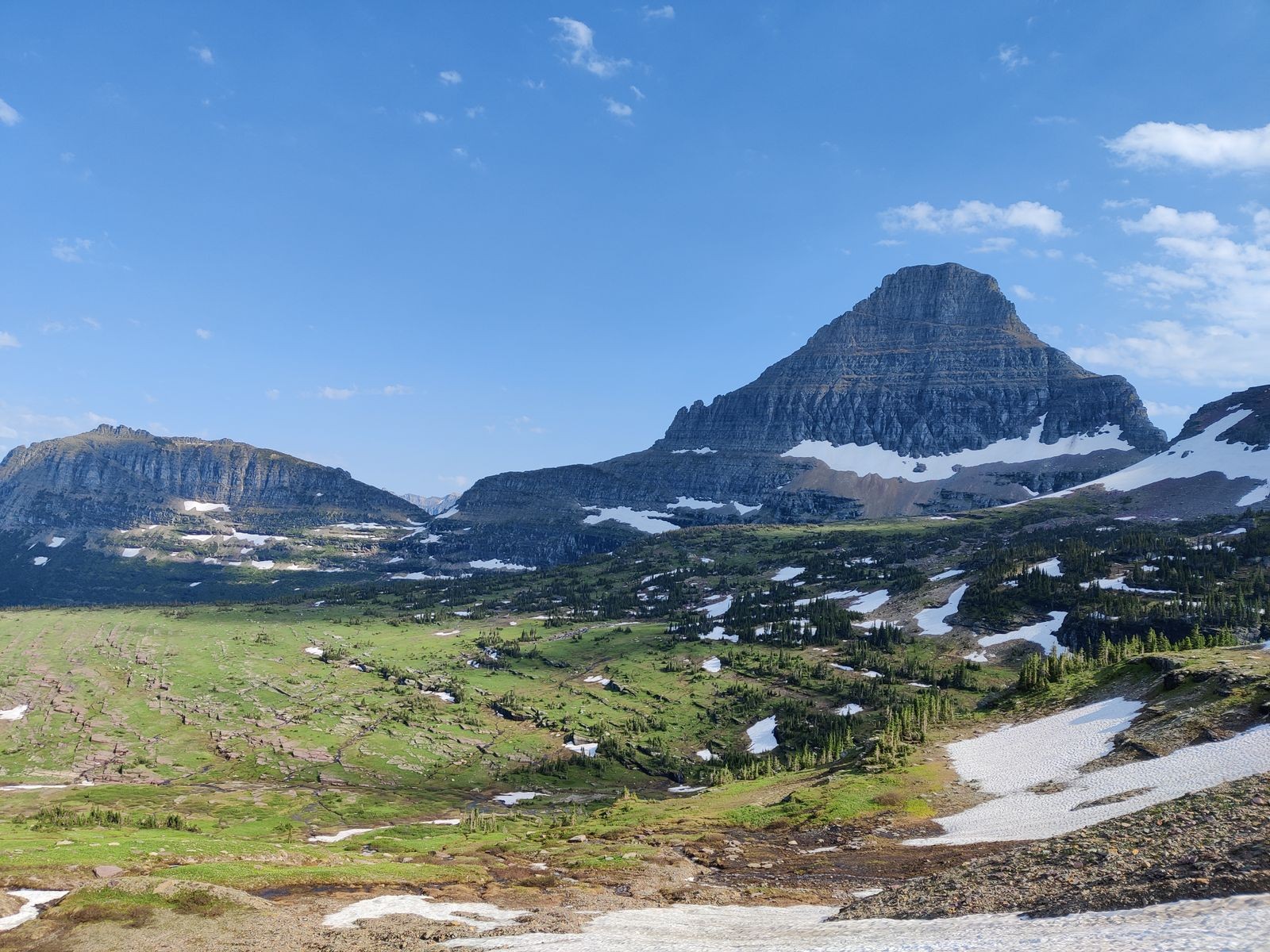 A green alpine meadow leads up to a rocky peak in Glacier National Park