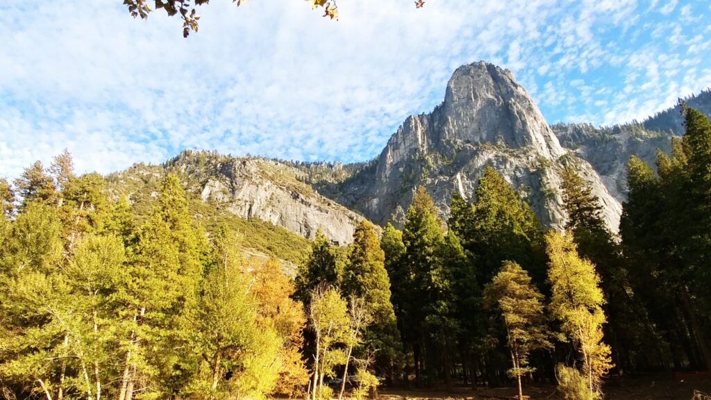 Golden fall trees in Yosemite Valley
