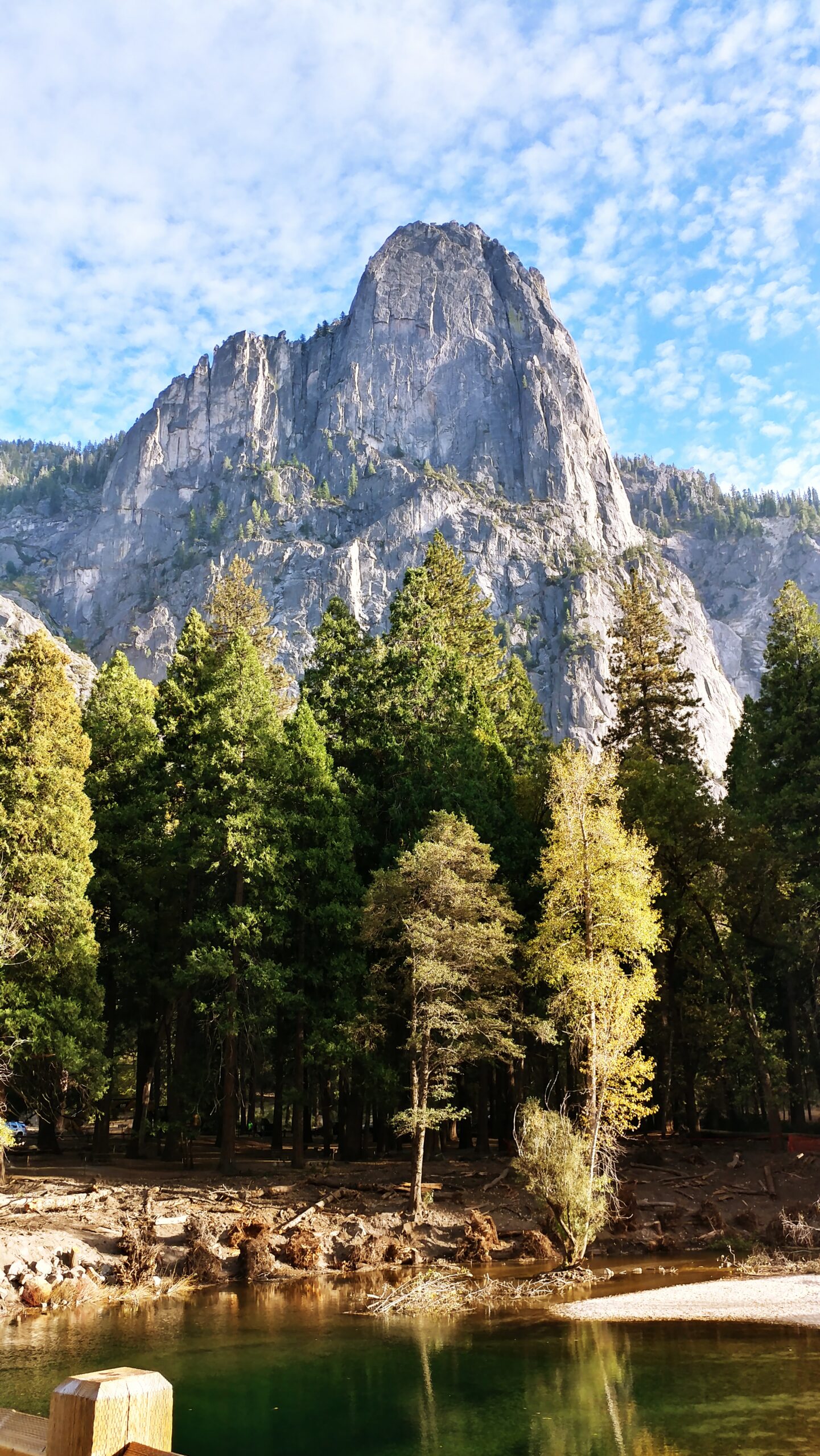 Granite spire rising above pine trees in Yosemite Valley